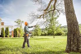 Best Tree Maintenance Programs  in Corning, CA